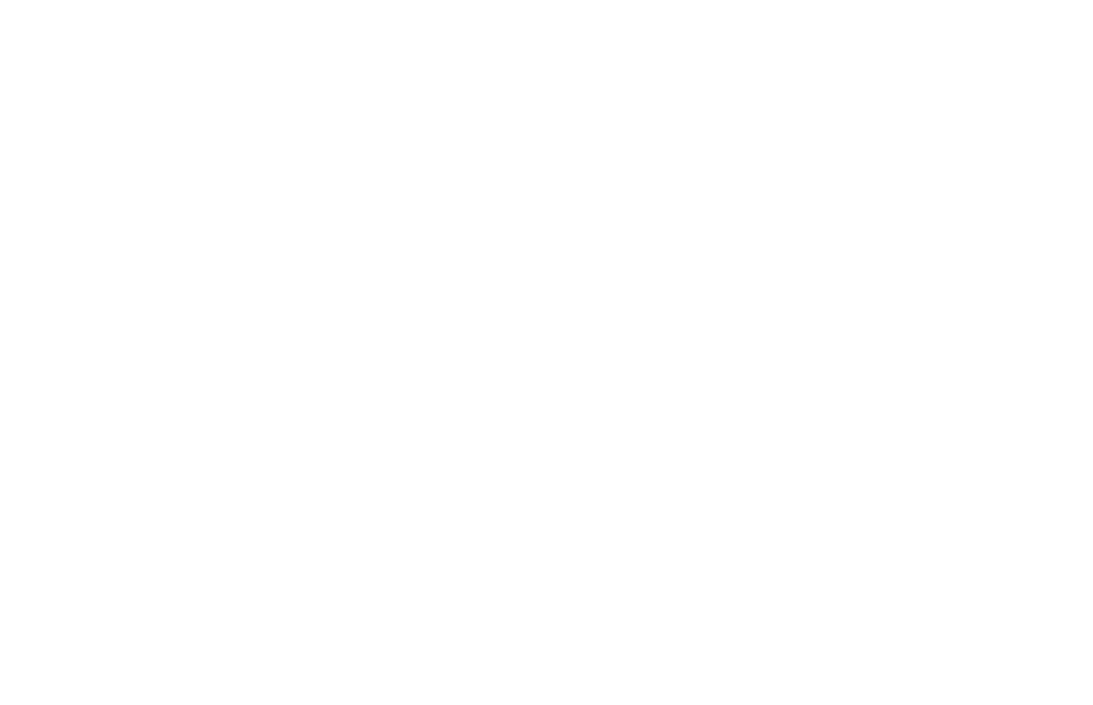 white-Logo_Areva.svg