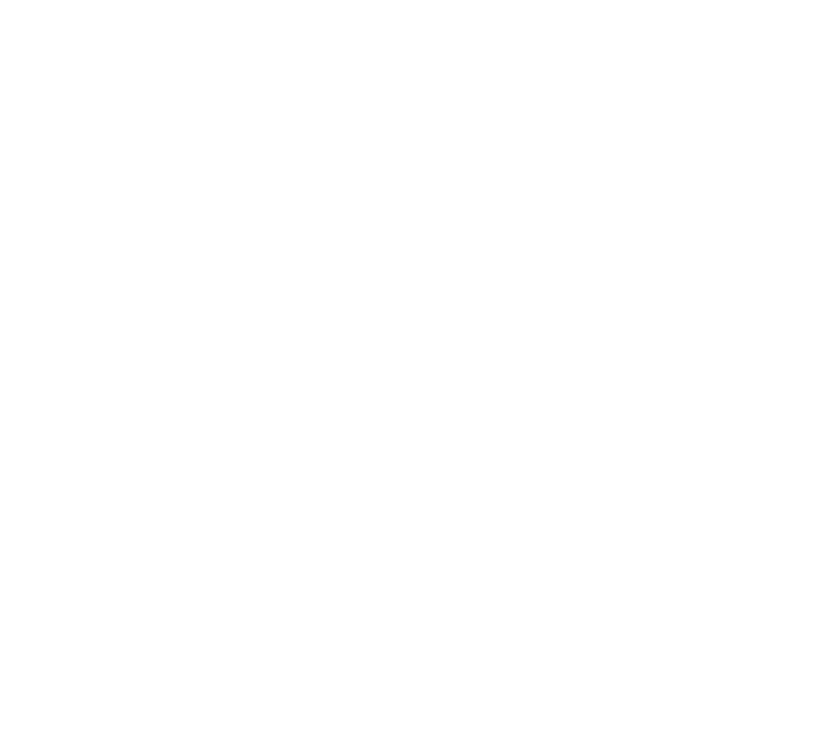 mairie-de-toulouse