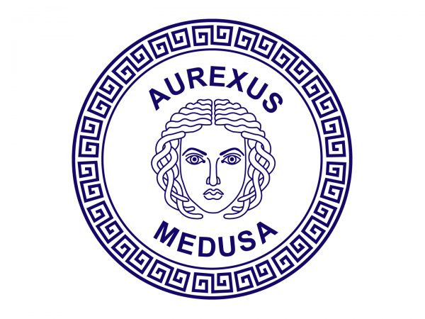 MEDUSA-LOGO-BLUE-JPG